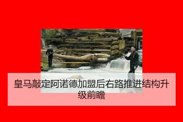 huang-ma-qiao-ding-a-nuo-de-jia-meng-hou-you-lu-tui-jin-jie-gou-sheng-ji-qian-zhan-2-376.jpg